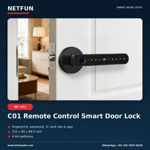 NF-C01 Smart Door Lock