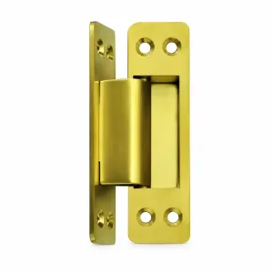 TT-14 gold-colored 5-inch 304 stainless steel door hinge on a white background